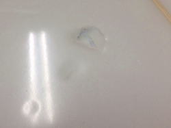 �|���G�X�e�� �{�g�� 13_2